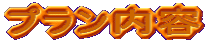 �v�������e